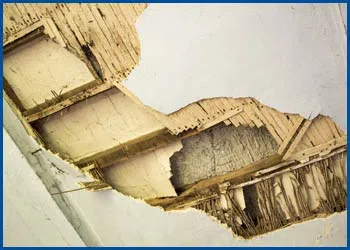 Dania Restoration Company Dania, FL 754-202-0148 - water-damage-side