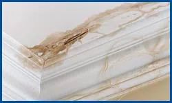 Dania Restoration Company Dania, FL 754-202-0148 - water-damage-sidebar