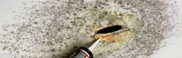 logo-image - water-damage-subbanner