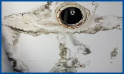 Dania Restoration Company Dania, FL 754-202-0148 - water-leaks-sidebar